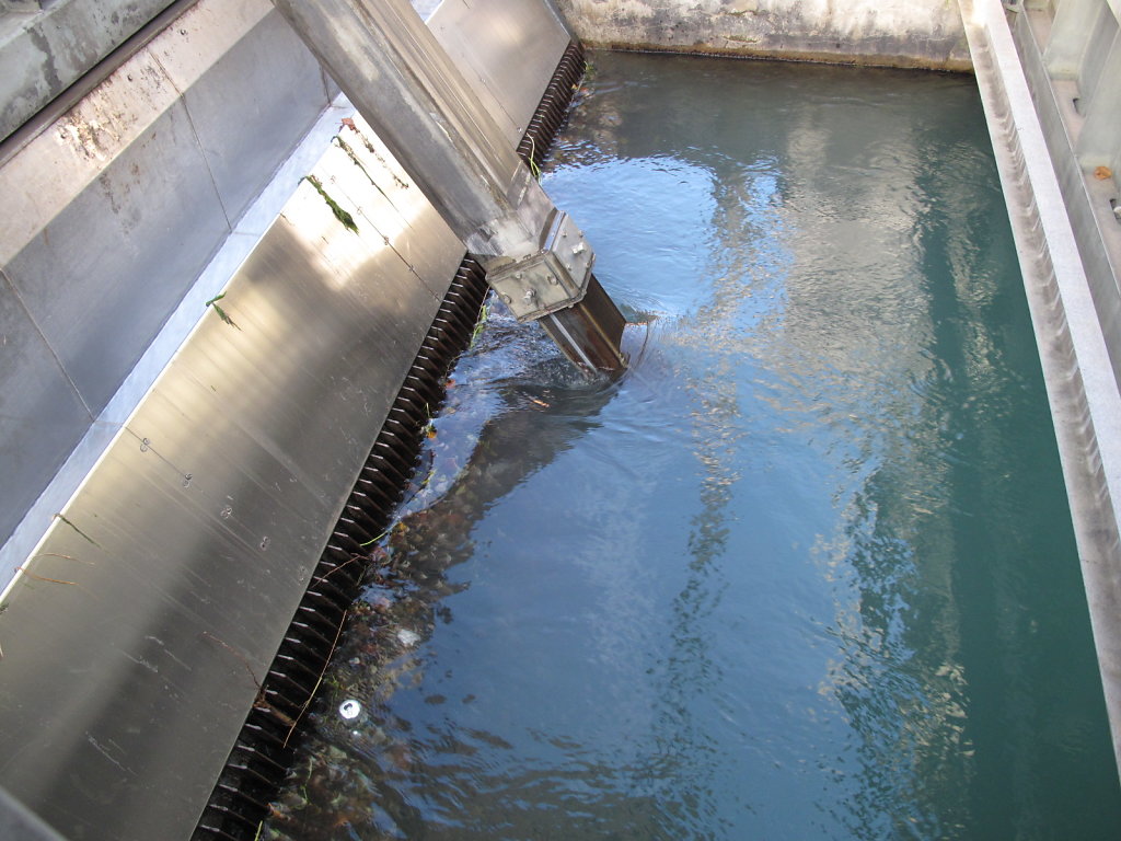 IMG-3877.JPG