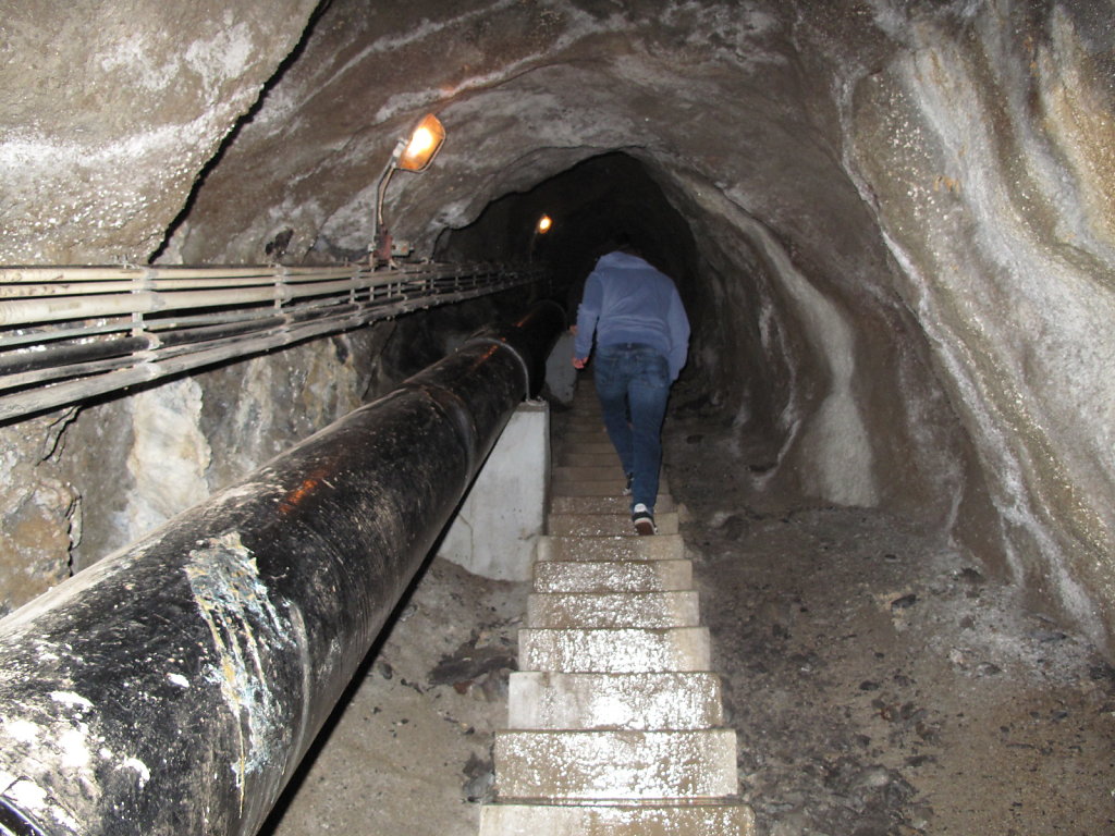 IMG-3896.JPG