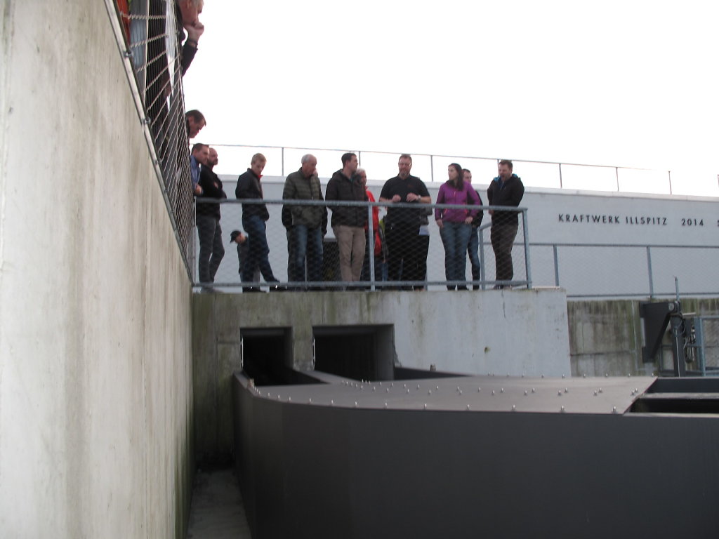 IMG-3916.JPG