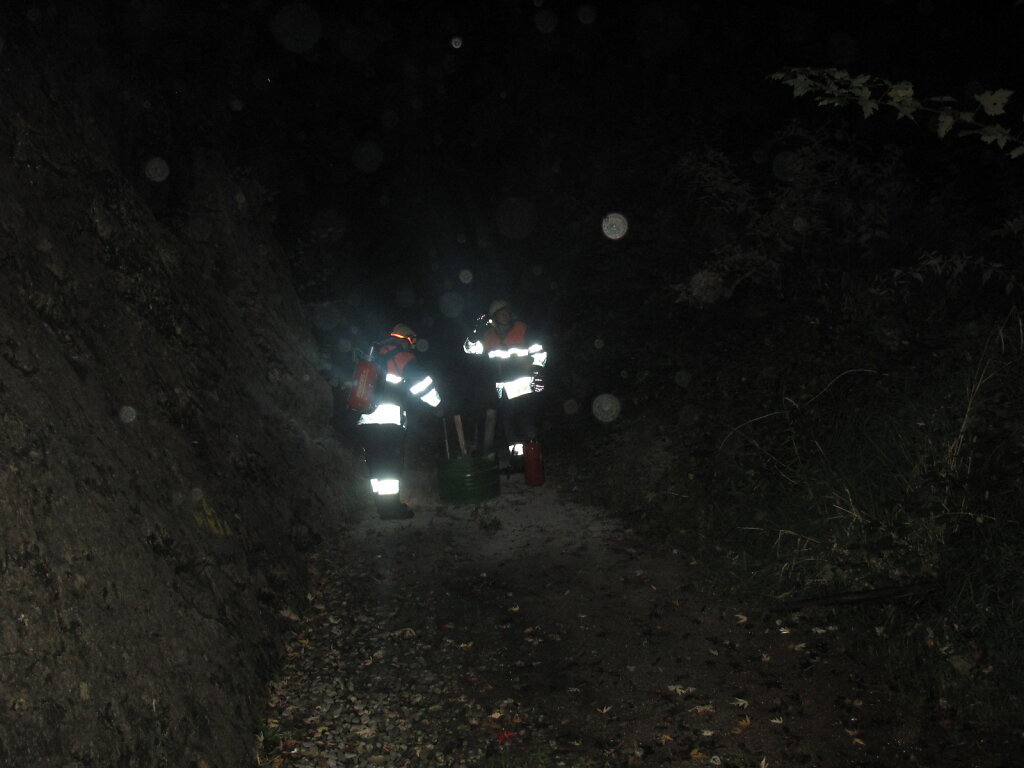 IMG-0272.JPG